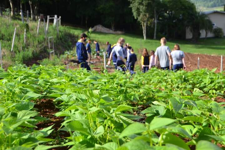 Agropecuária