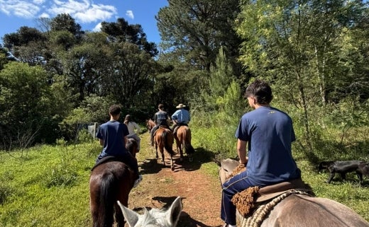 9db3f502-31f1-4fdd-b3e3-983f8e9369a1