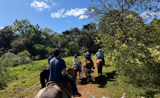 be43ccba-7628-4535-9e6a-4de286d83ea2