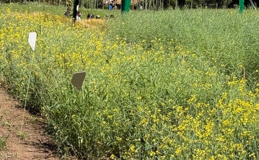 0d3ffb8a-a8cf-42c6-954b-76c56784b705