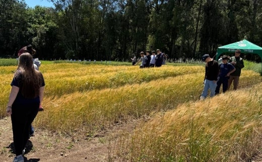 6b2be3c3-b0be-4646-b930-f17d1e6786f2