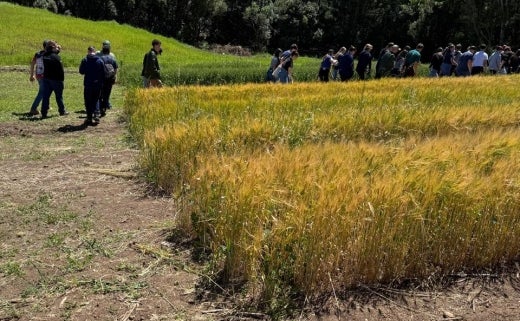 7c1df13b-3298-42e0-af0d-ddf7fbef719b