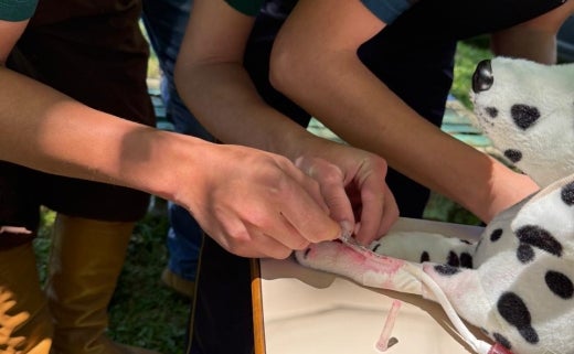 201f5742-7208-432e-82fc-00db7861693d