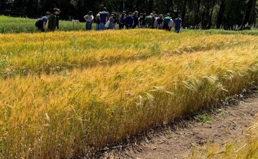 694184c9-5197-421f-ba6c-f284867dd285