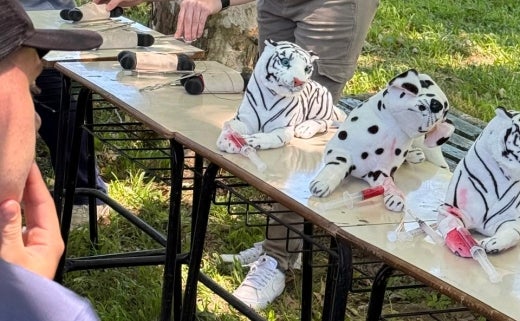 e991d529-ce3c-43a3-9726-1c78f974518a