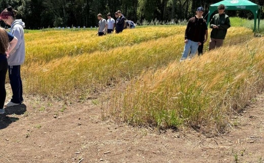 f1831e2a-daa1-49ee-853c-98173ff5d853