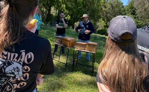 fe3966e8-134c-4698-9740-19a5cec3a393